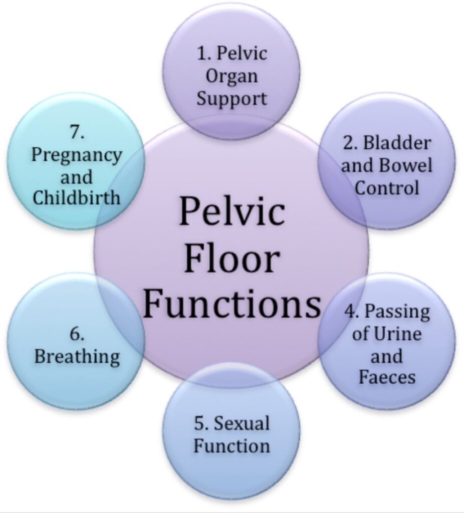 Specialist Women's Health Physiotherapy in Torbay